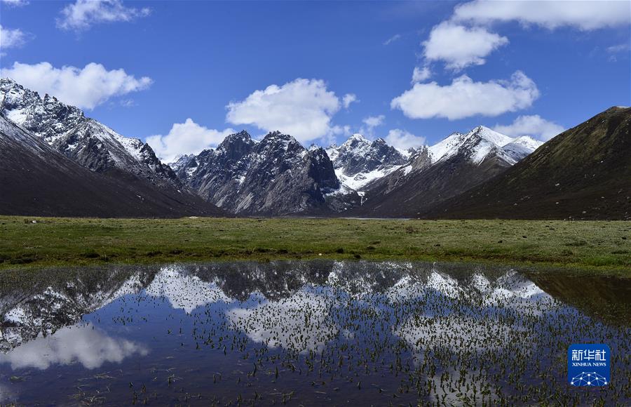 （新華全媒頭條·聚焦生物多樣性大會·圖文互動）（7）攜手同行，開啟人類高質(zhì)量發(fā)展新征程——習(xí)近平主席在《生物多樣性公約》第十五次締約方大會領(lǐng)導(dǎo)人峰會上的主旨講話解讀